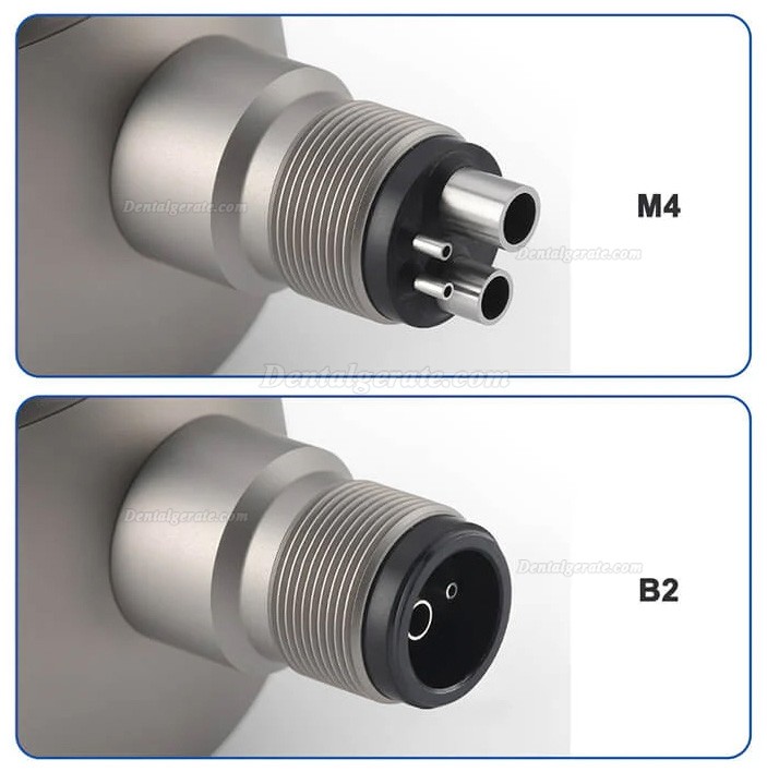 Dental Pulverstrahlger&auml;t Ganzmetall-Zahnpolierer 2/4 Loch